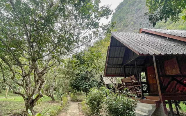 Khaosok Green Mountain View