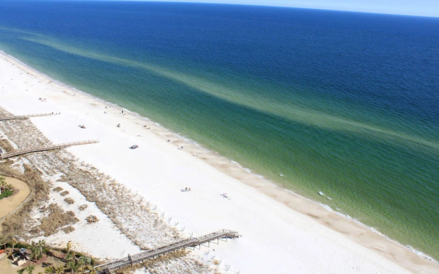 Indigo by Luxury Coastal Vacations