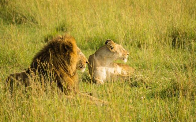The Gir Harmony Hotel