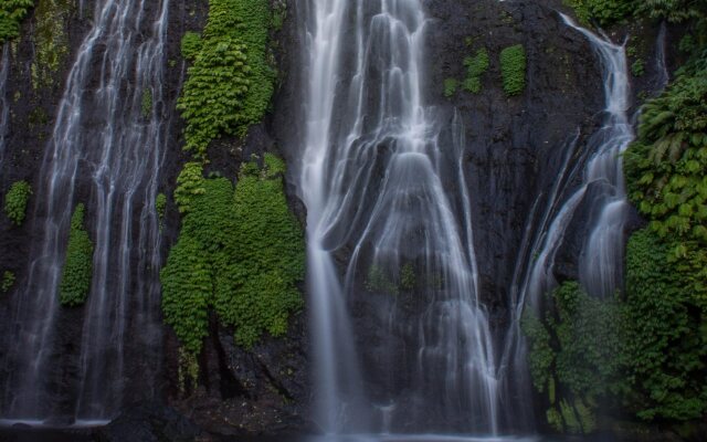 Bukit Kembar Ecotourism