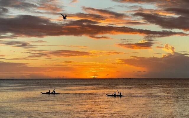 Moorea Island Beach