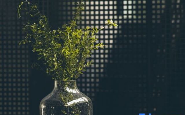 Yunshang Banshan Hotel