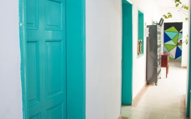 Medallo Social Hostal OPEN!