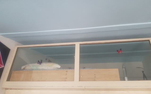 Lovely 2-bed House in Klarici Close to Pula