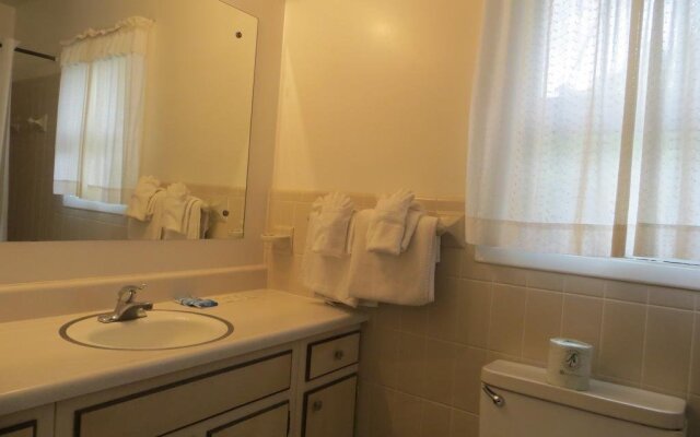 Roaring Fork Motel & Cottages