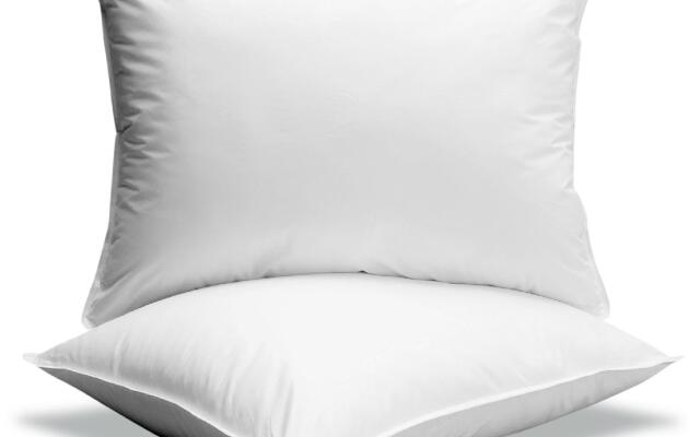 OYO Collection O 45409 Bartwal Guest House