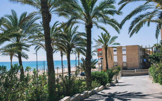 Glp Raspeig Dreamsea