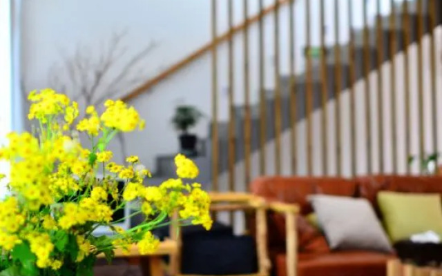 Moganshan Muddlehead's Pet Theme B&B