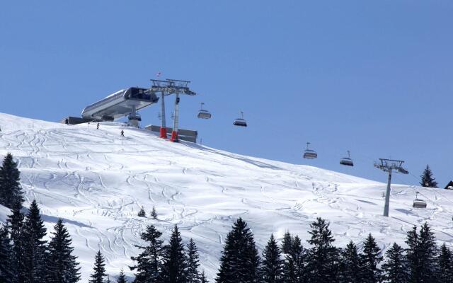 Apartment Near the Maria Alm ski Area