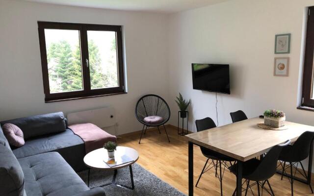 Vila Irina Apartman 8
