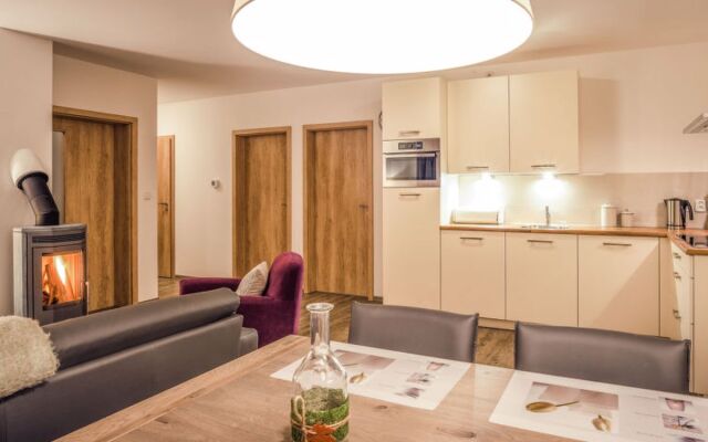 Residence Lipno 41603