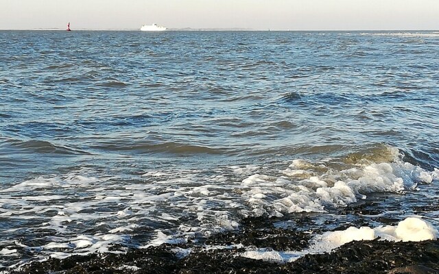 Ferienwohnung-Silberdiestel