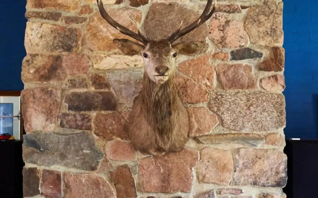 Victoria's at Ewingsdale