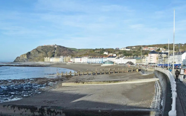 Llys yr Wylan