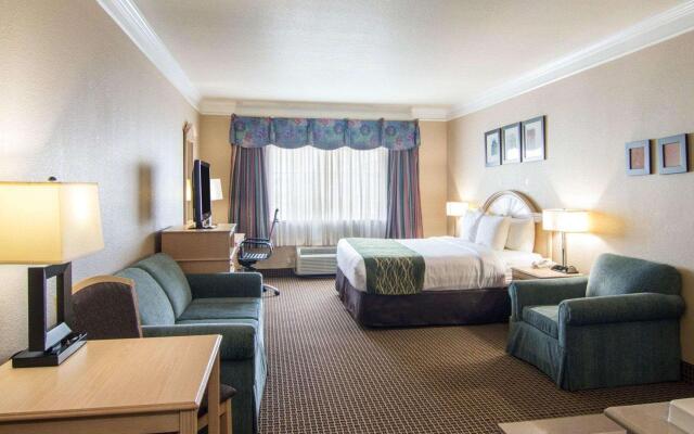 Comfort Suites Kingwood Houston North