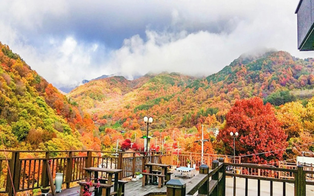 Gurye Maple Valley Pension