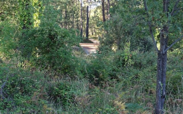 Le Pressoir De La Deveze