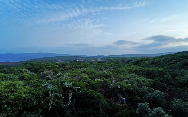 Shindola Residency