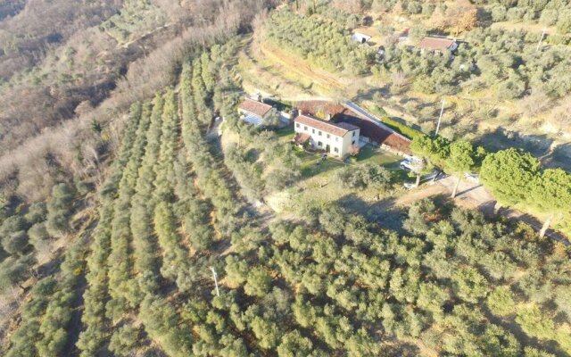 Holiday house Petrarca