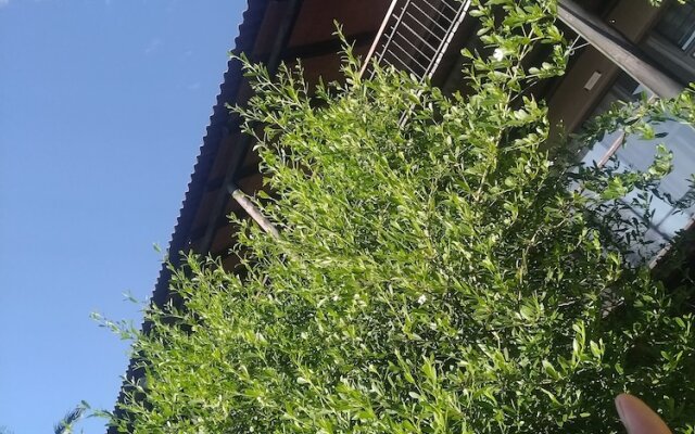 The Tropical Hut Lodges