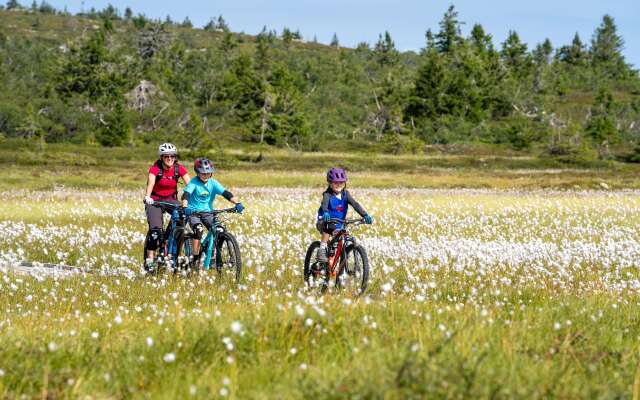 Radisson Blu Resort Trysil