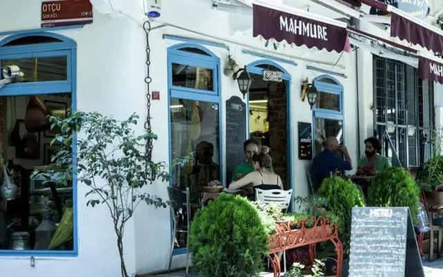 Mahmures House