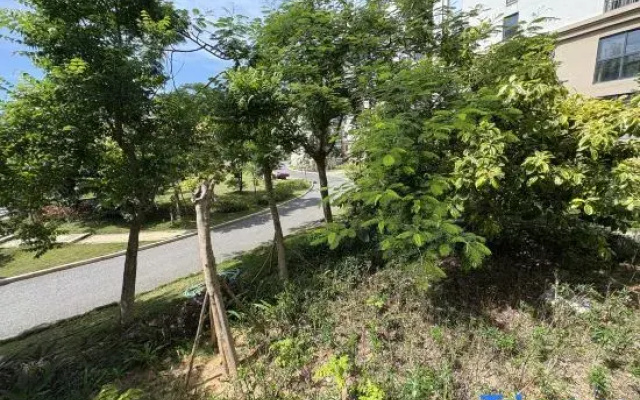 Qiziwan Banshan Banhai Homestay (Jiaotou Shanhaisong)