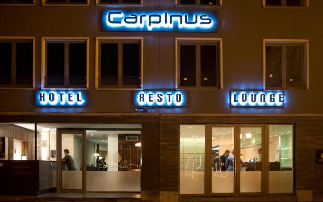 Hotel Carpinus