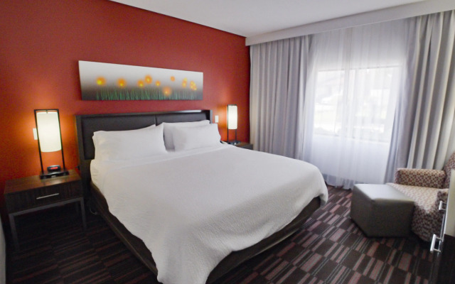 Holiday Inn Irving Las Colinas by IHG