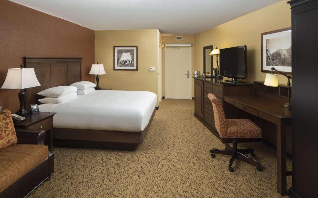 The Park Vista - a DoubleTree by Hilton Hotel - Gatlinburg