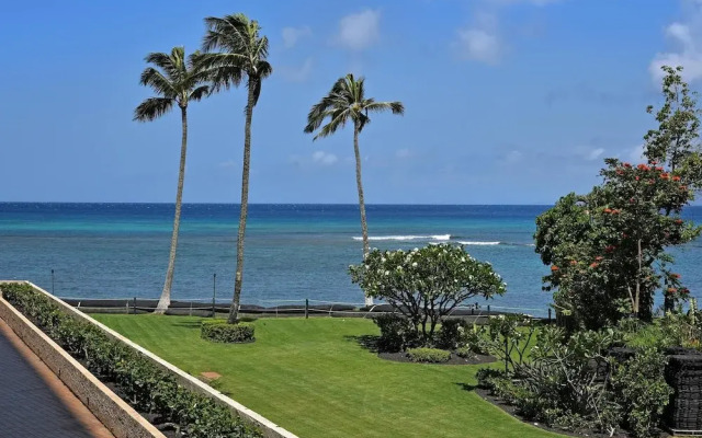 Royal Kahana 317
