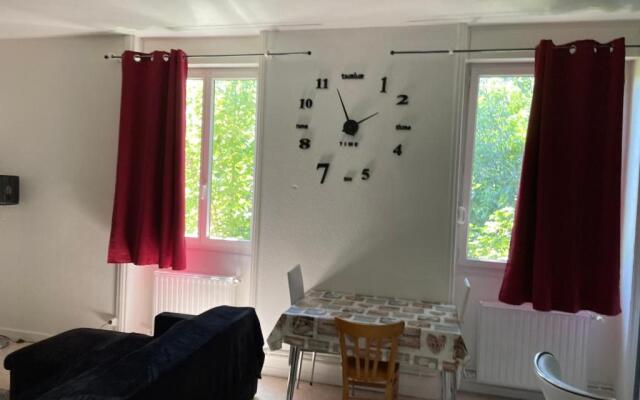 APPARTEMENT AU CENTRE VILLE de ROANNE 50 m²