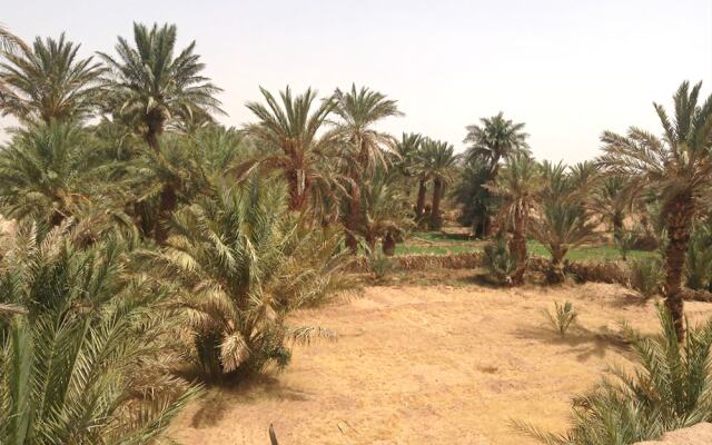 The Zaïd Garden