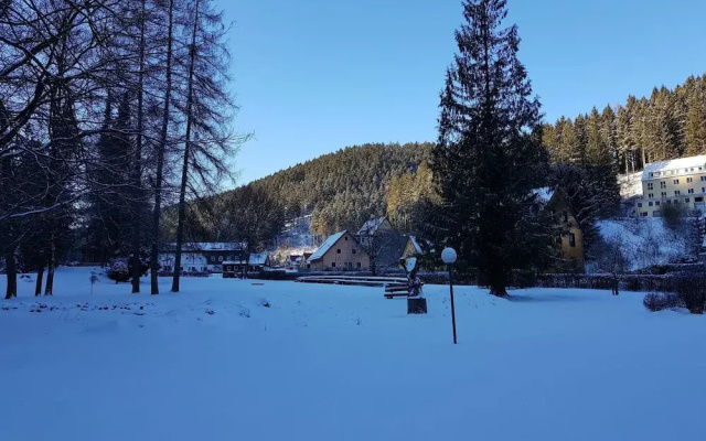 Ferienwohnung im Oberharz in Wildemann