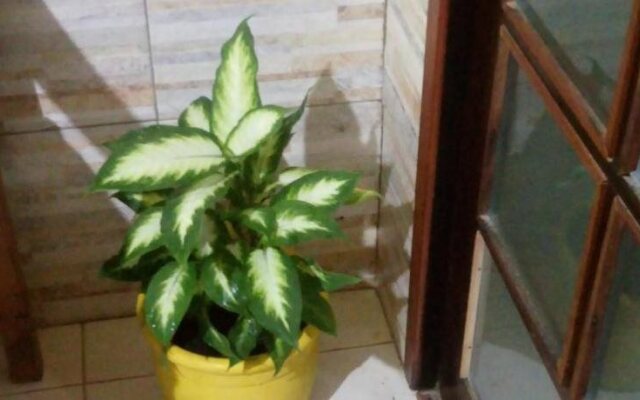 Pousada Litoral Paraty