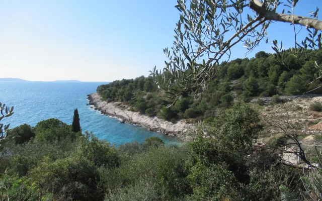 Summer Dream directly at the sea