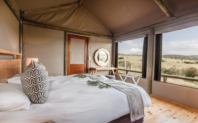 Hlosi Game Lodge - Amakhala Game Reserve