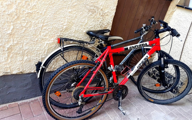 Ein Trip in die Natur