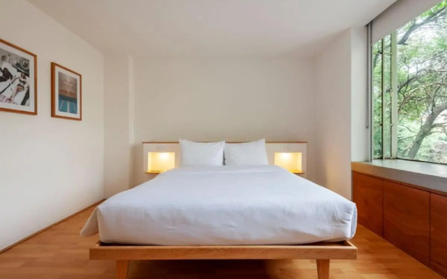 Beautiful 3BR in Condesa