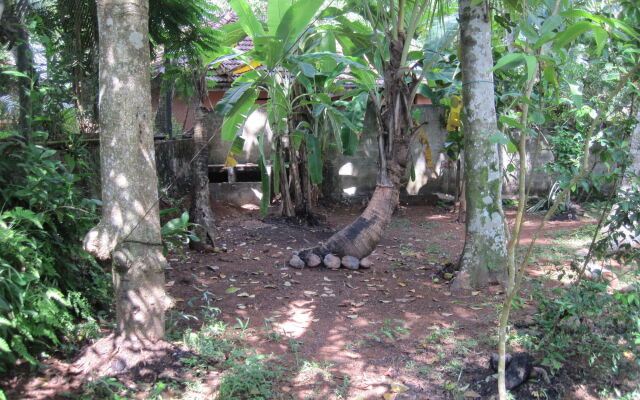 Jungleside House