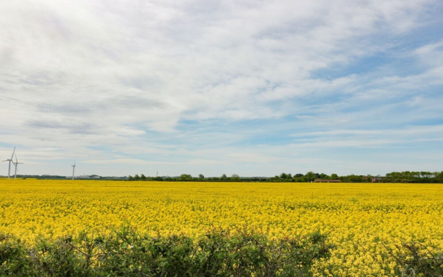 Meadow View