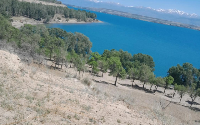 Waterfall in the yard