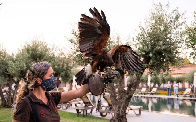 Vila Gale Collection Alter Real - Resort Equestre, Conference & Spa