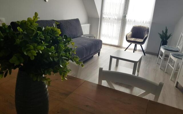Zoli Apartmanok-Adri Kölcsey 32