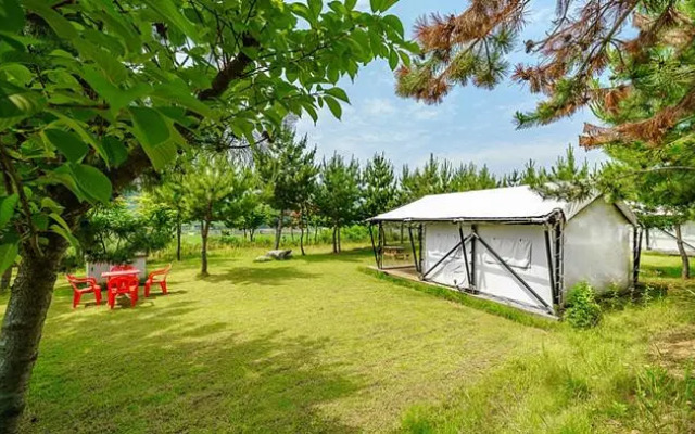 seocheon paintree glamping
