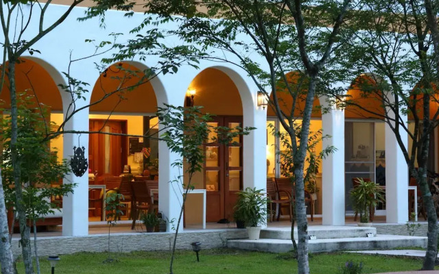 Focacia BNB