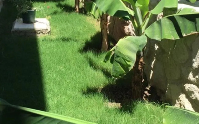 Nirvana Butik Otel
