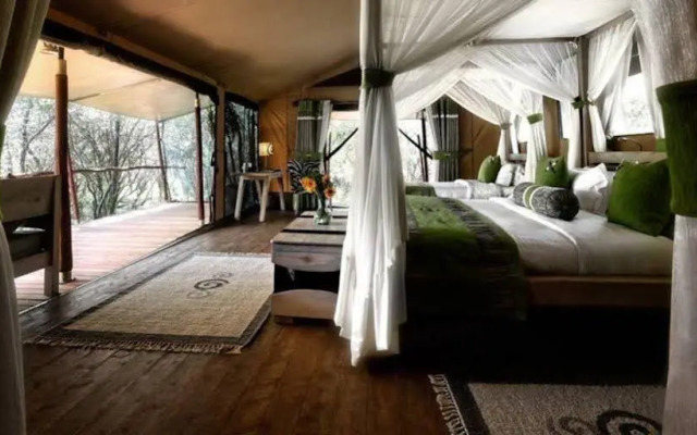 Mara Bush Camp