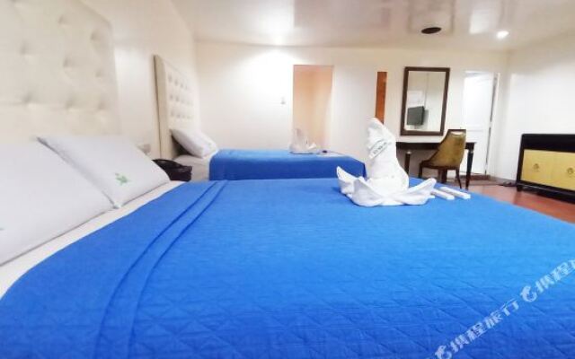 Town and Country Hotel - V. Mapa