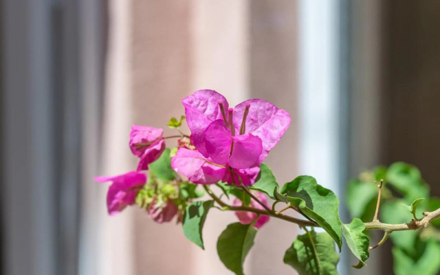 Park Studio - Príncipe Real